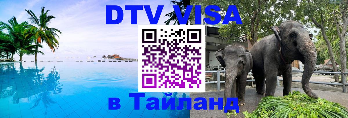 Оформление DTV визы под ключ: стоимость и тарифы, только загранпаспорт - 